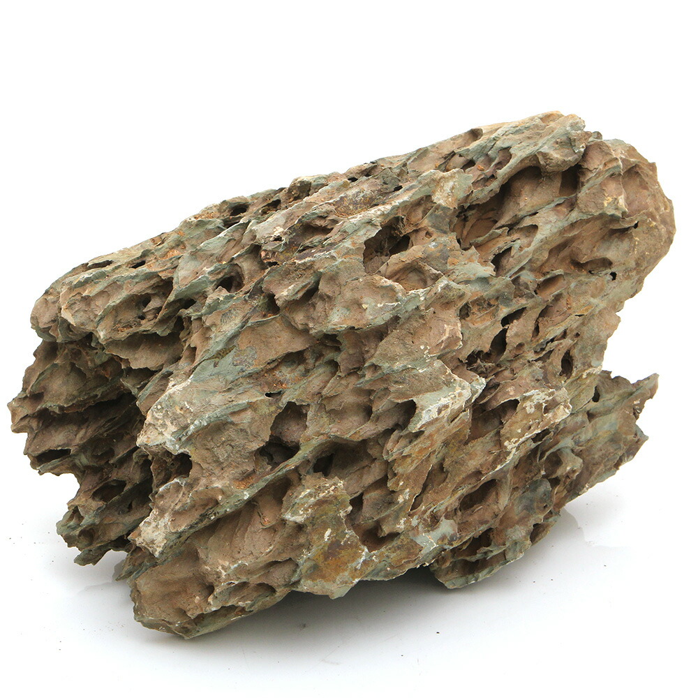 楽天市場】カミハタ アクアリウムロック 気孔石 大 形状お任せ 関東