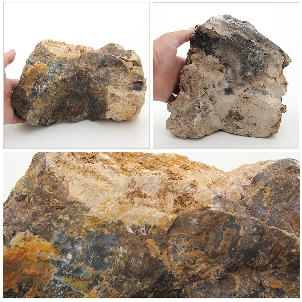 楽天市場 カミハタ アクアリウムロック 木化石 特大 関東当日便 Charm 楽天市場店