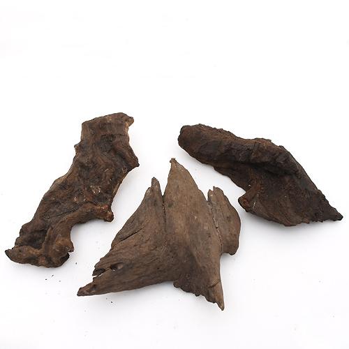 楽天市場】形状お任せ 煮込み済み ディアーホーンウッド Sサイズ（約