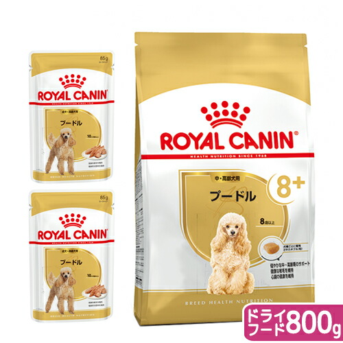  CANIN ドッグフード　3kg 1袋 ロイヤルカナン ドッグフード 犬用 療法食 消化器サポート 3kg 1
