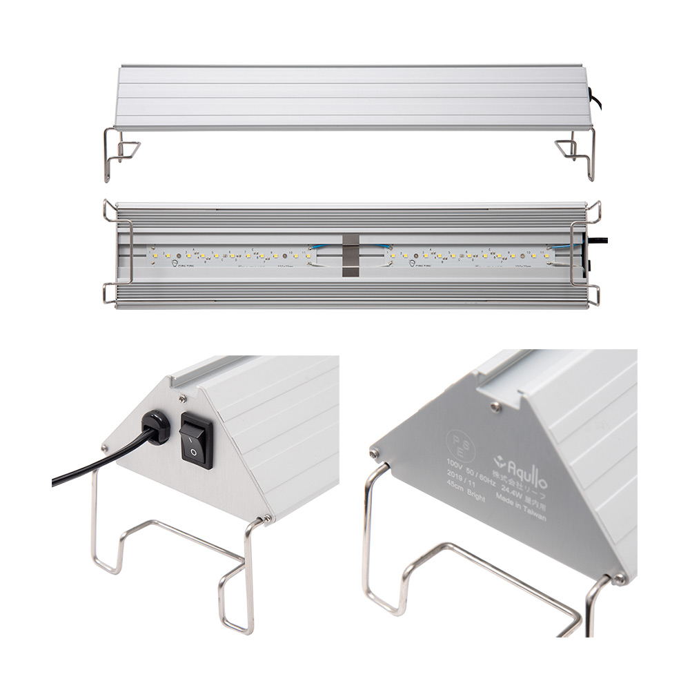 chanet lighting light tropical