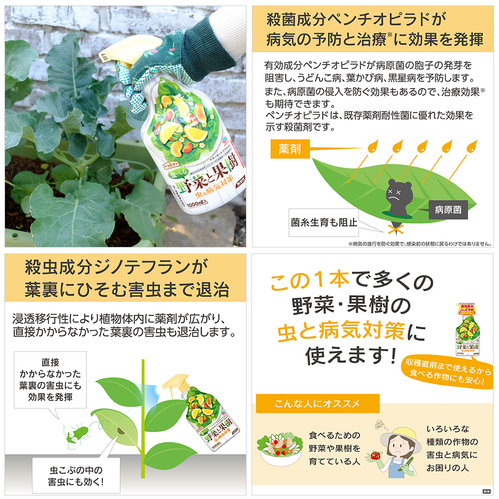 楽天市場 アースガーデン 食べる野菜と果樹 虫 病気対策 １０００ｍｌ 関東当日便 Charm 楽天市場店