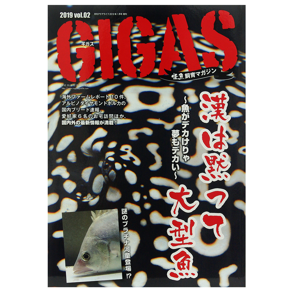 楽天市場 怪魚飼育マガジン ｇｉｇａｓ ギガス ２０１９ ｖｏｌ ０２ 関東当日便 Charm 楽天市場店