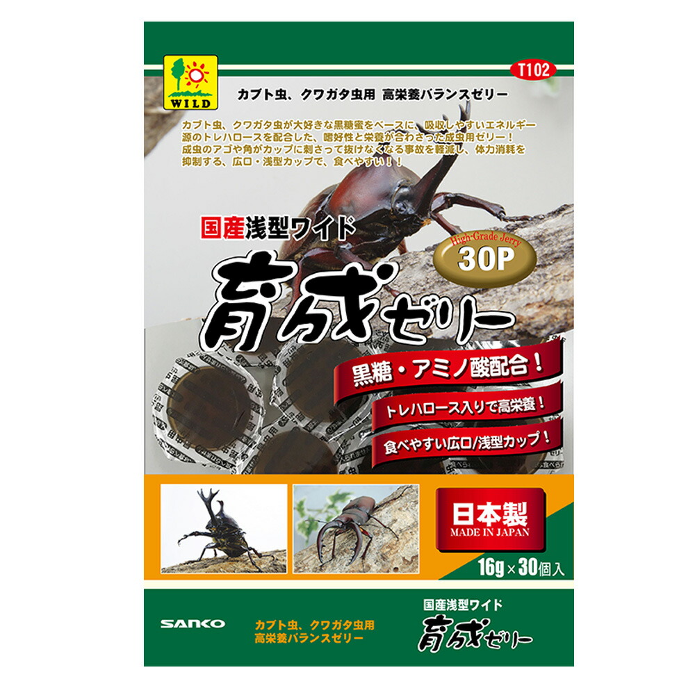 市場 アウトレット品 昆虫ゼリー ミニアニマン 南国の黒みつ入りゼリー