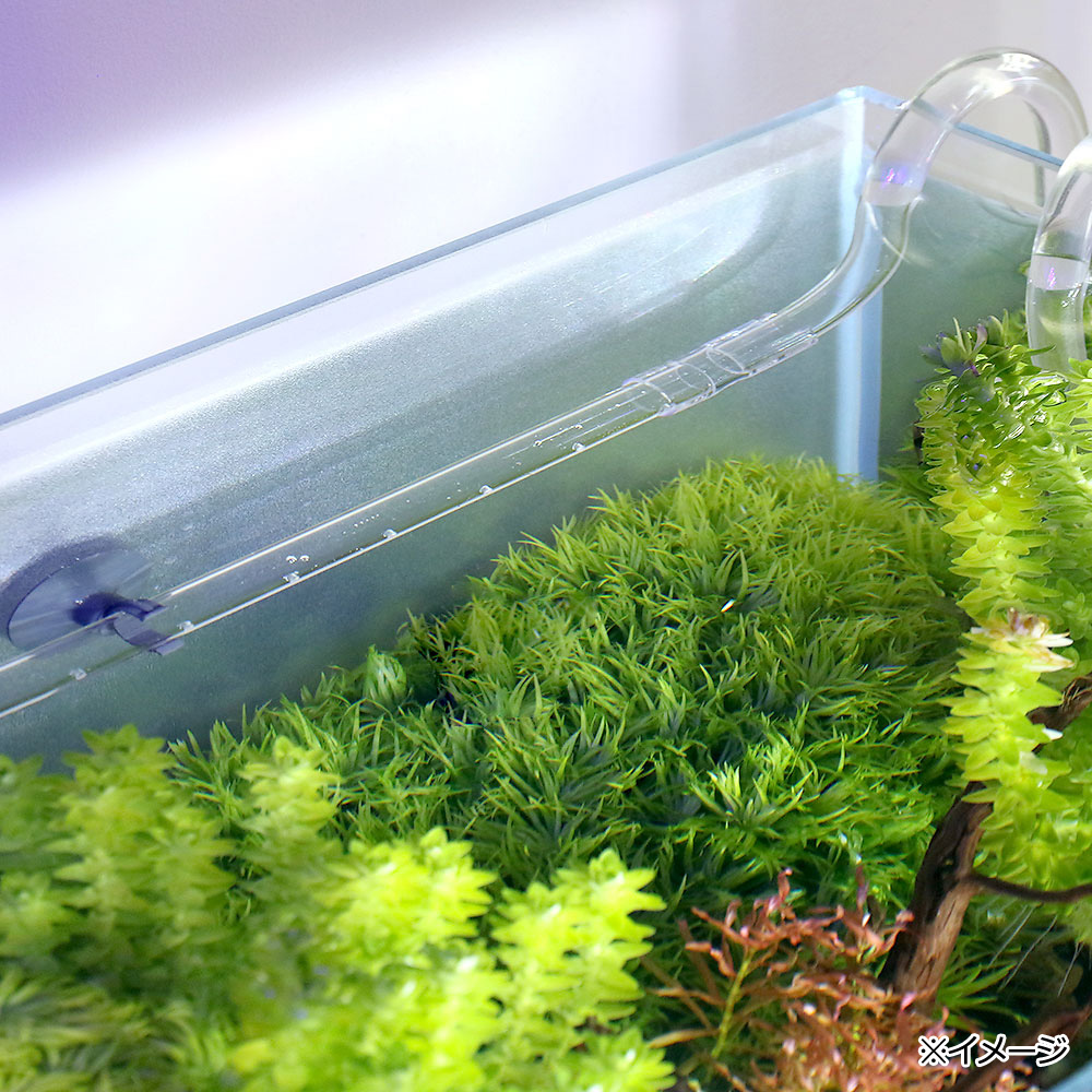 楽天市場 リーフオリジナル プラスチックシャワーパイプ クリア ２０ｃｍ 直径１２ １６のホース用 止水栓付き クリップ付吸着盤 関東当日便 Charm 楽天市場店