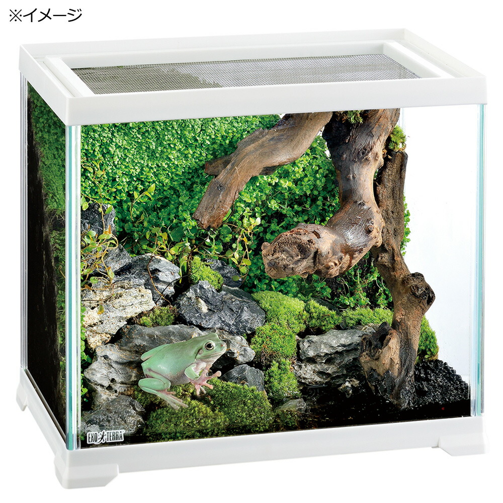 楽天市場 ｇｅｘ レプテリア ホワイト ３００ｈｉｇｈ 関東当日便 Charm 楽天市場店