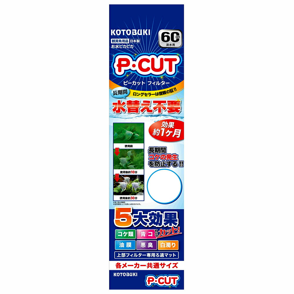 381円 新色追加して再販 コトブキ ドクターバイオ 60 381円 新色追加して再販 コトブキ ドクターバイオ 60