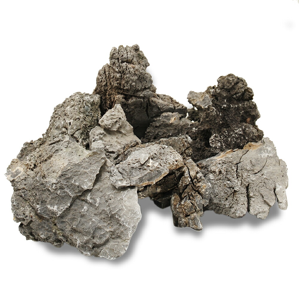 楽天市場】形状お任せ 風山石 サイズミックス 20kg 大型水槽向け