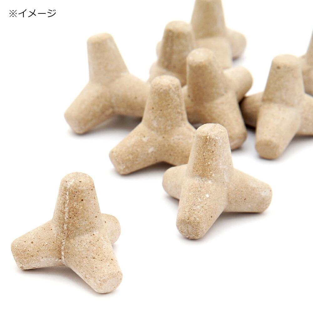 楽天市場 ミニテトラシェルター 無地 ５個 アクアリウム対応 高機能セラミックセメント製 関東当日便 Charm 楽天市場店