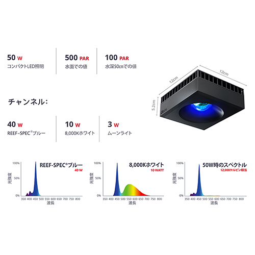 レッドシー ＲＥＥＦ ＬＥＤ 関東当日便 専用ユニバーサル