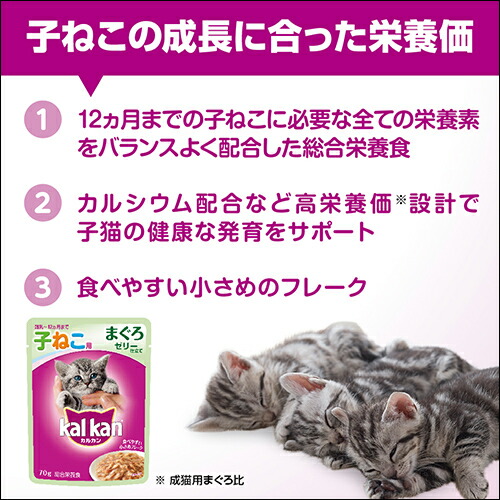 SALE／72%OFF】 たい入り カルカン １２ヵ月までの子ねこ用 パウチ まぐろ 関東当日便 ７０ｇ×１６０袋 沖縄別途送料 キャットフード 猫用品