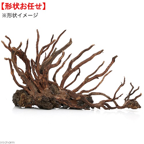 公式店舗 アウトレット品 カミハタ ダイナミック スケープ ウッド 形状おまかせ 流木 ４５ １２ ２２ｃｍ 訳あり 沖縄別途送料 関東当日便 Charm 店 流行に Volfgr Com