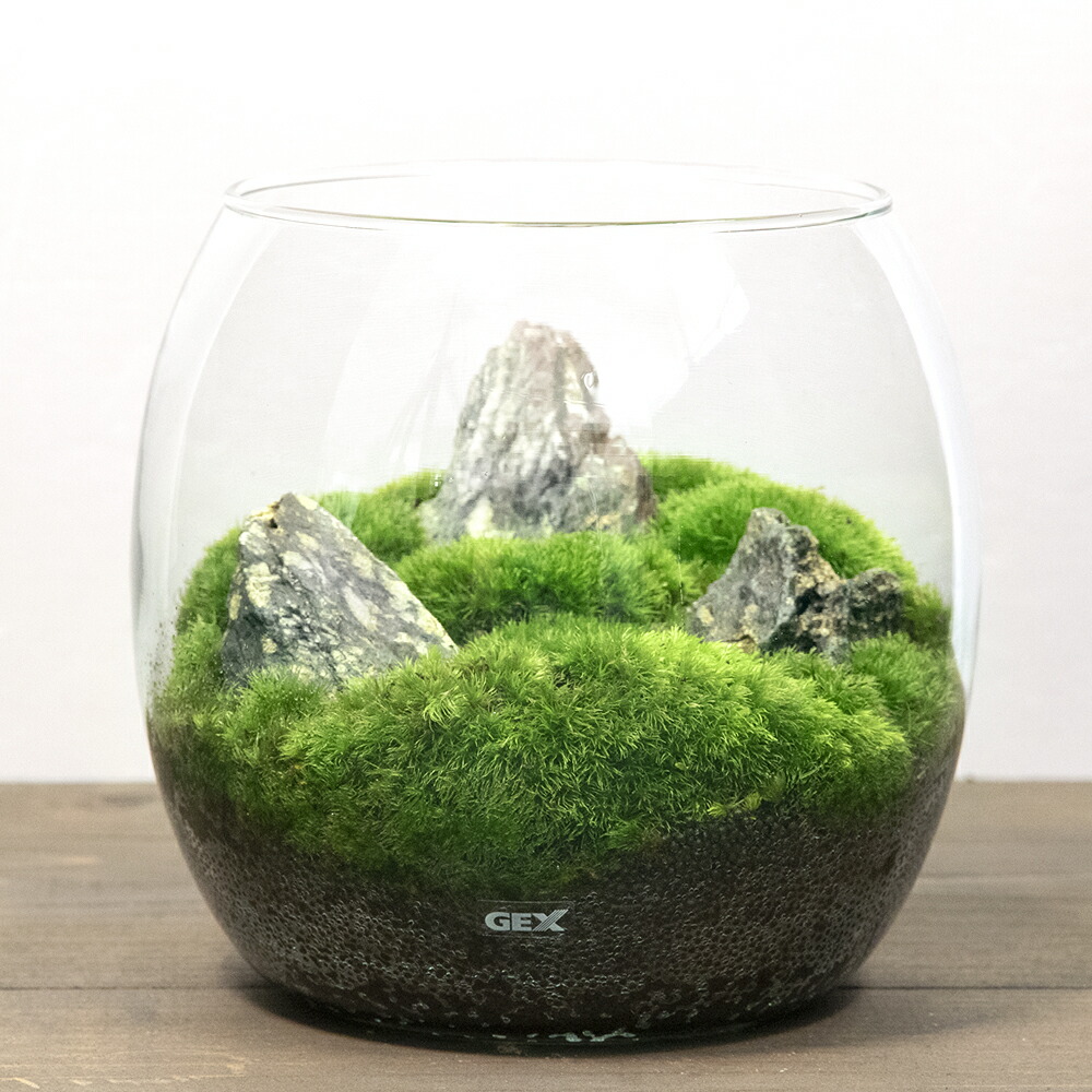 専用★観葉植物&海の動物　2点セット　★ ダイヤモンドアート ペイントジェム 専用☆観葉植物&海の動物 2点セット ☆ ダイヤモンドアート