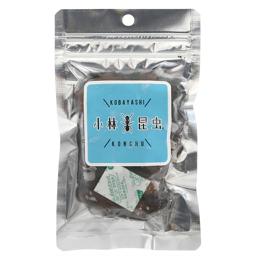 楽天市場 賞味期限 ２０２１年７月３０日 冷凍 コガネムシ メス 卵持ち ４０ｇ 別途クール手数料 常温商品同梱不可 訳あり Charm 楽天市場店