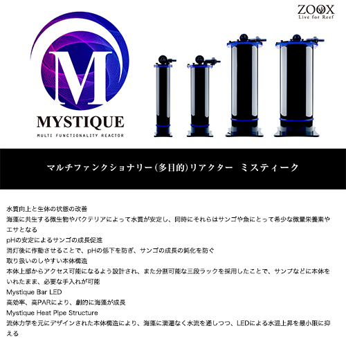 東日本用 ＺＯＯＸ ＭＹＳＴＩＱＵＥ 関東当日便 １２０ 沖縄別途送料