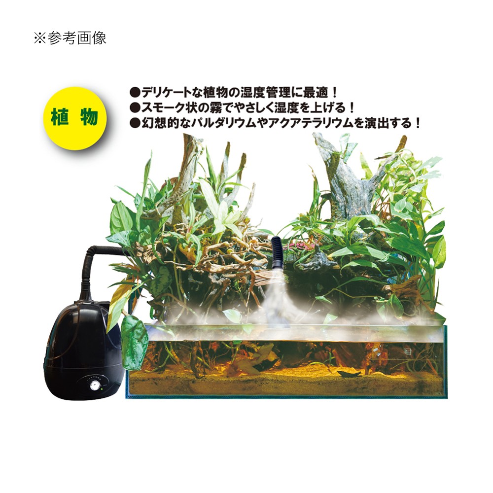 でおすすめアイテム ゼンスイ 爬虫類 植物加湿器 Fog フォグ フィルター ポンプ ろ材