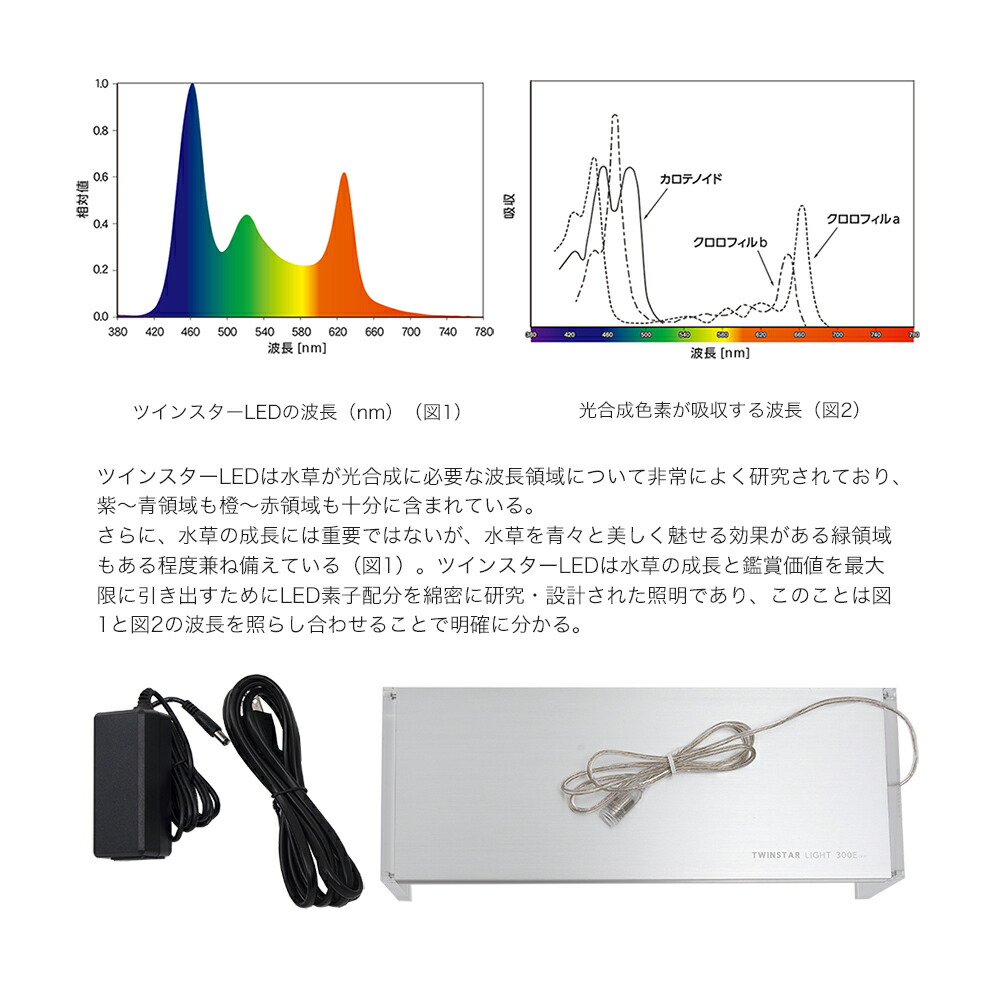 ツインヴィザード 見やすい台 コンミュニズム家筋水草 水槽 沖縄別途貨物輸送 関東当日雁の便り Cannes Encheres Com ツインヴィザード 見やすい台 コンミュニズム家筋水草 水槽 沖縄別途貨物輸送 関東当日雁の便り Cannes Encheres Com