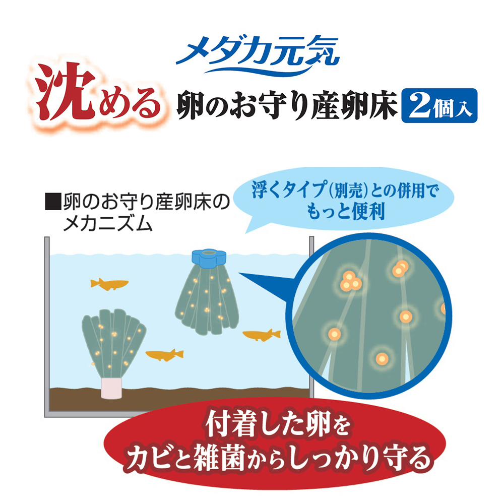 楽天市場 ｇｅｘ メダカ元気 沈める卵のお守り産卵床 ２個入り 関東当日便 Charm 楽天市場店