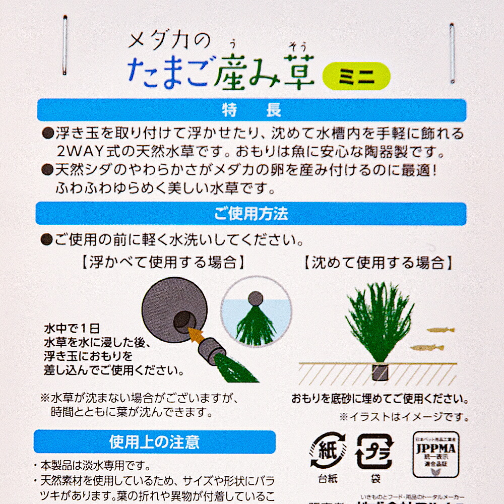 好評にて期間延長 ニッソー メダカのたまご産み草 ミニ 関東当日便 Abamedyc Com