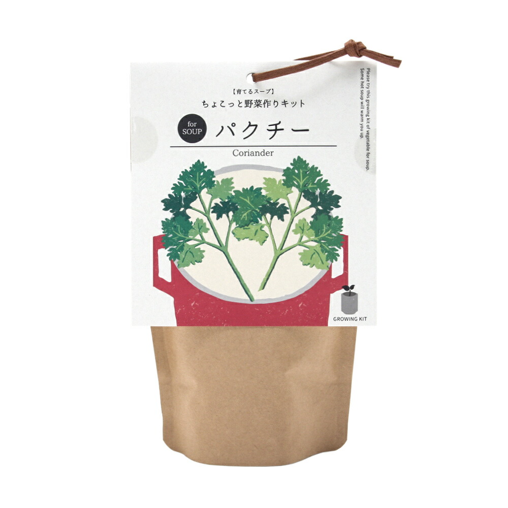 楽天市場 聖新陶芸 育てるスープ パクチー ペーパーバック 関東当日便 Charm 楽天市場店