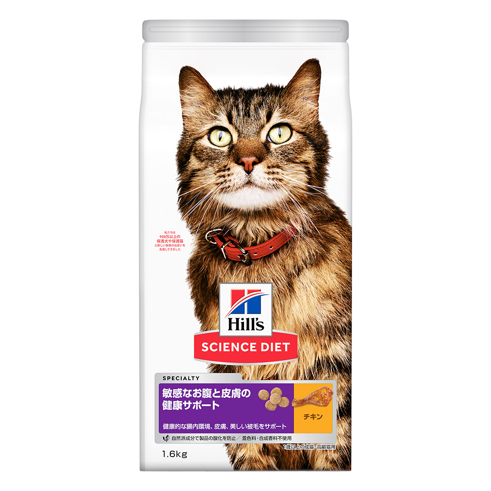 ヒルズ 猫缶シニア チキン 送料無料激安祭 41 割引 Festina Pl