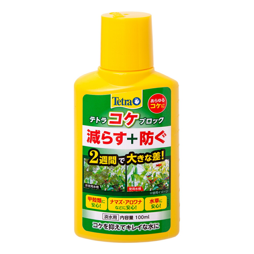 楽天市場 テトラ コケブロック １００ｍｌ 関東当日便 Charm 楽天市場店