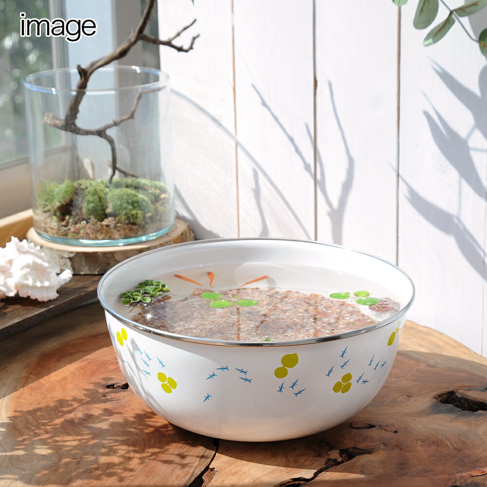 楽天市場 ビオトープ めだか ホーローボールと浮き草 楊貴妃メダカセット 本州四国限定 Charm 楽天市場店