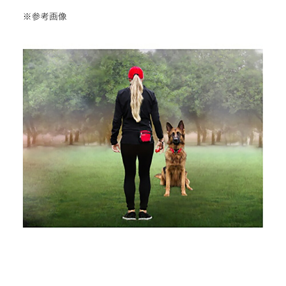 EZYDOGイージードッグコマンドクリッカーレッド関東当日便
