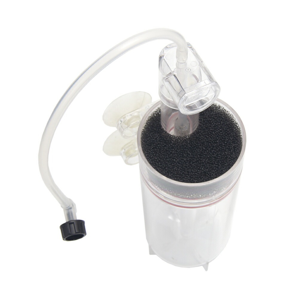 楽天市場 ｚｉｓｓ ａｑｕａ ｅｇｇ ｉｎｃｕｂａｔｏｒ ｚｅｔ ６５ 孵化器 中型種 関東当日便 Charm 楽天市場店