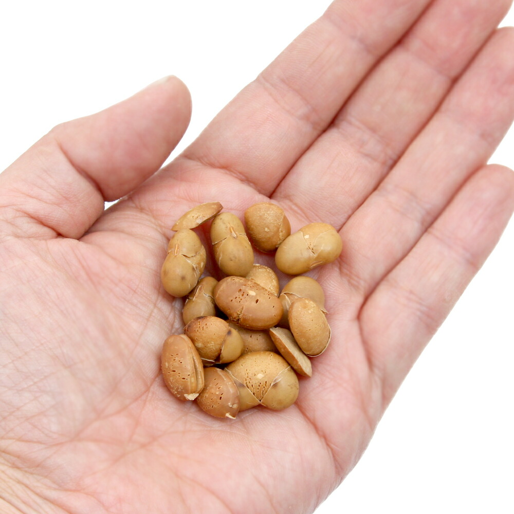 楽天市場 国産 大豆のぽん ５０ｇ 無添加 無着色 国産犬用おやつ 関東当日便 Charm 楽天市場店