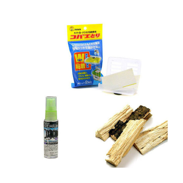 楽天市場】成虫用 カブトムシ・クワガタムシ 飼育5点セット 関東当日