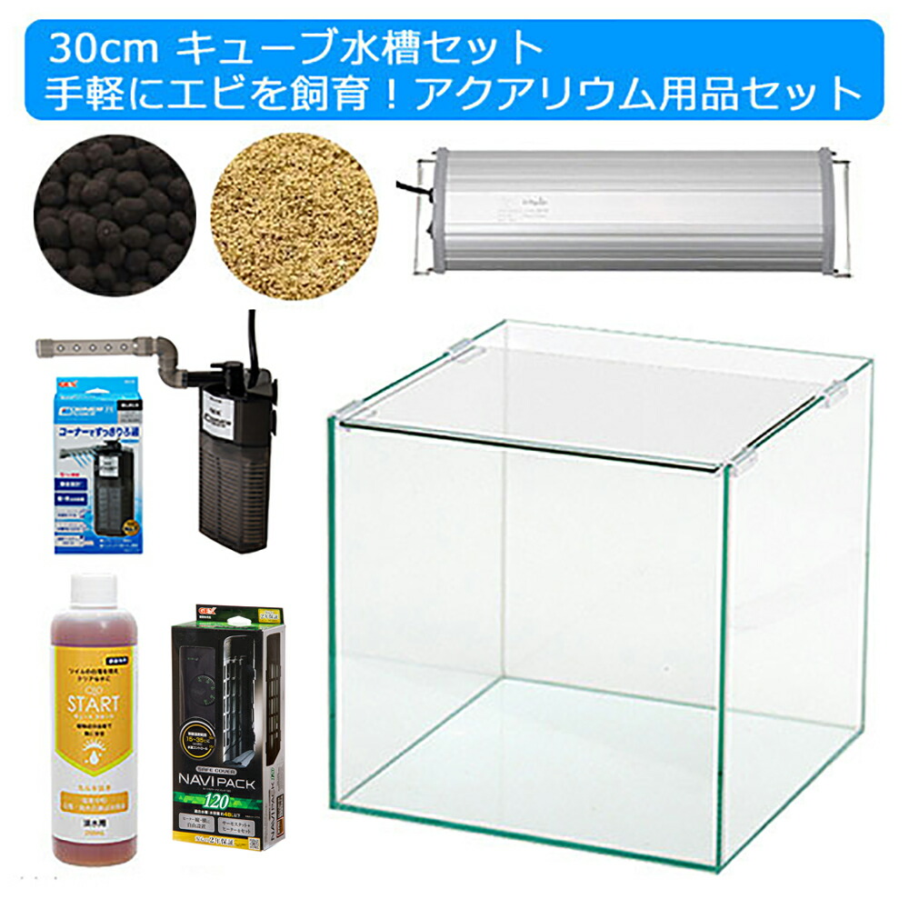 手軽にエビを飼育 アクアリウム用品 水槽 ledライト 他5点 プロ推奨 初めての飼育セット 水槽セット 30cmキューブ水槽セット Hls Du 関東当日便 Charm 沖縄別途送料 店 手軽にエビを飼育 アクアリウム用品 水槽 ledライト 他5点 プロ推奨 初めての飼育セット 水槽セット 30cmキューブ水槽セット Hls Du 関東当日便 Charm 沖縄別途送料 店