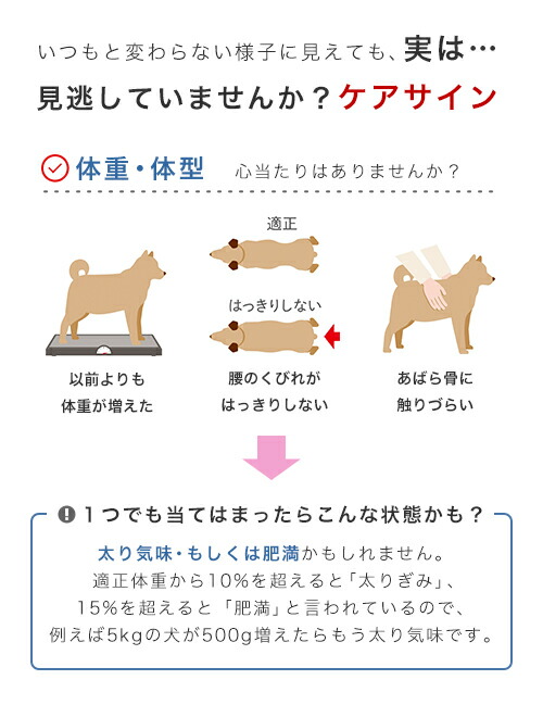 品質保証 消費期限 21 12 29 ロイヤルカナン 減量したい中型犬用 ミディアム ライトウェイトケア 10kg ジップ無し 沖縄別途送料 pom d 関東当日便 激安な新品登場 品質保証 消費期限 21 12 29 ロイヤルカナン 減量したい中型犬用 ミディアム ライトウェイトケア 10kg ジップ無し 沖縄別途送料 pom d 関東当日便 激安な新品登場