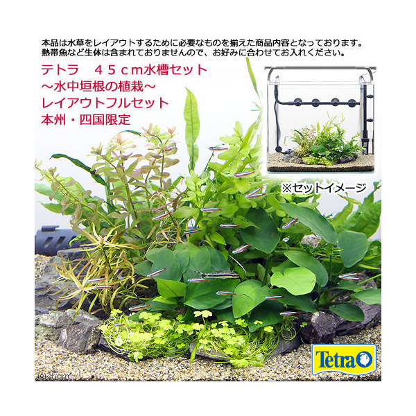 楽天市場 水草 テトラ ４５ｃｍ水槽セット 水中垣根の植栽 レイアウトフルセット 本州四国限定 Charm 楽天市場店