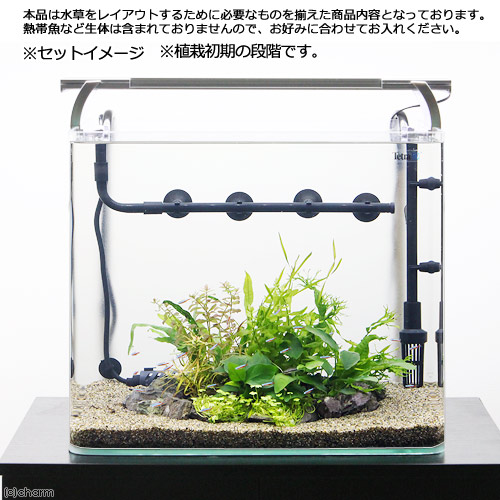 楽天市場 水草 テトラ ４５ｃｍ水槽セット 水中垣根の植栽 レイアウトフルセット 本州四国限定 Charm 楽天市場店