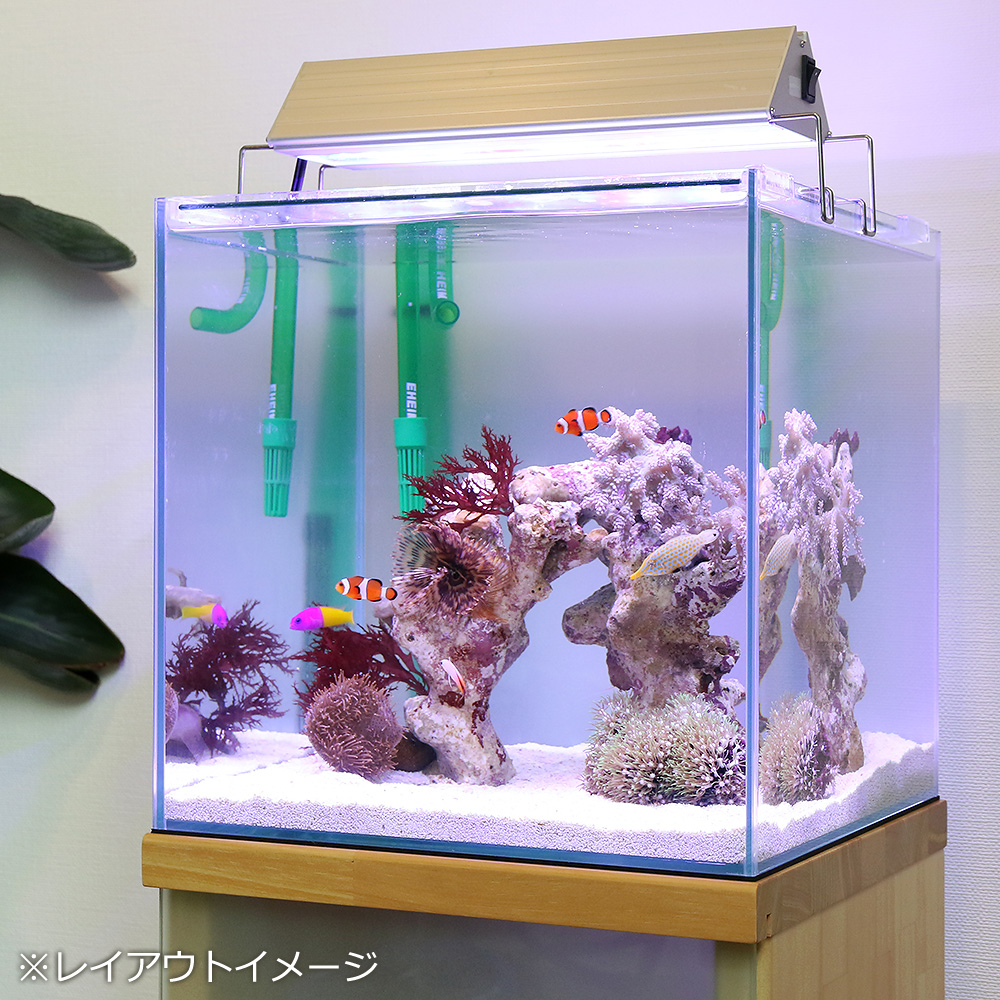 水槽セット 海水魚 海水魚飼育セット チャームオリジナル アクロ３００セット ｔｅｇａｒｕあり 本州四国限定 Charm 店