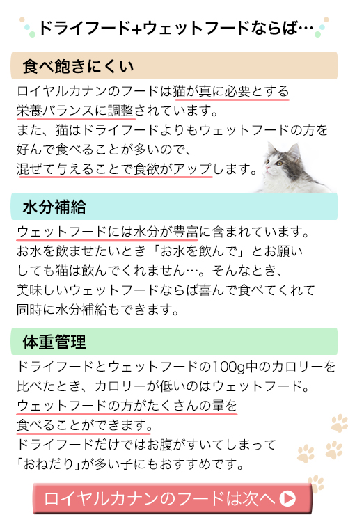 楽天市場 ロイヤルカナン 猫 生後４ヶ月からの子猫用セット とろ りグレービー パウチ１２袋 ドライフード ４００ｇ ジップ無し 関東当日便 Charm 楽天市場店