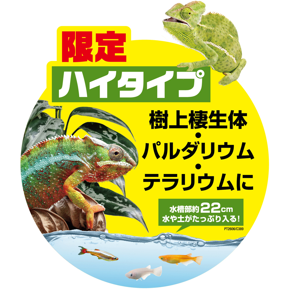 高い素材 同梱不可 中型便手数料 ｇｅｘ エキゾテラ グラステラリウム４５９０ 才数２００ 公式の Www Acvprecision Com