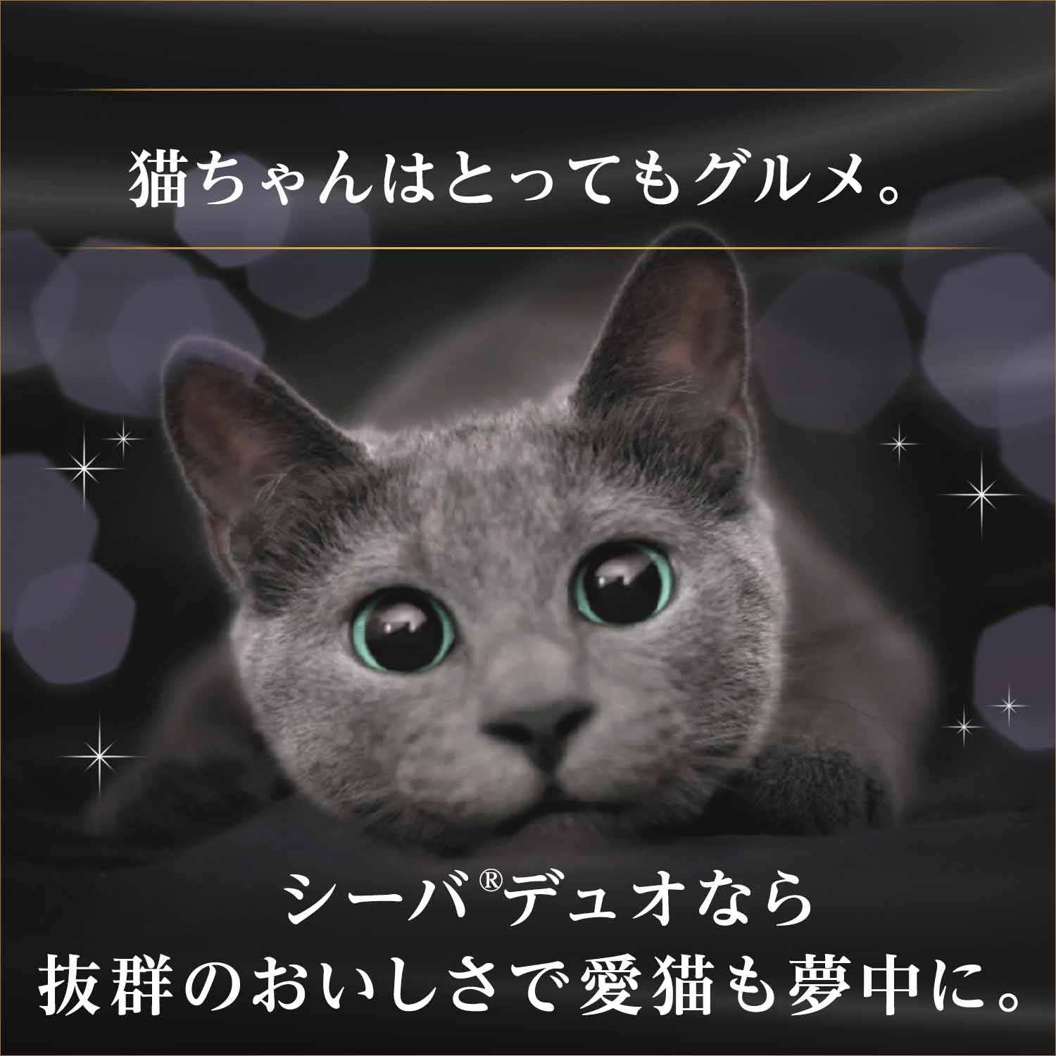 アソート シーバデュオ 240g 味のお試し5種セット お一人様24点限り【HLS_DU】 アソート シーバデュオ 240g 味のお試し5種セット お一人様24点限り【HLS_DU】