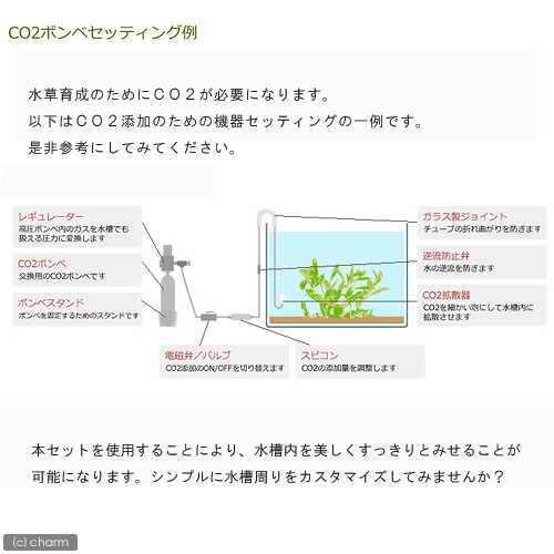 楽天市場 ｃｏ２拡散器セット ミニｃｏ２ストーン クリスタルジョイント ｊｌ型２２０ｍｍ 他 関東当日便 Charm 楽天市場店