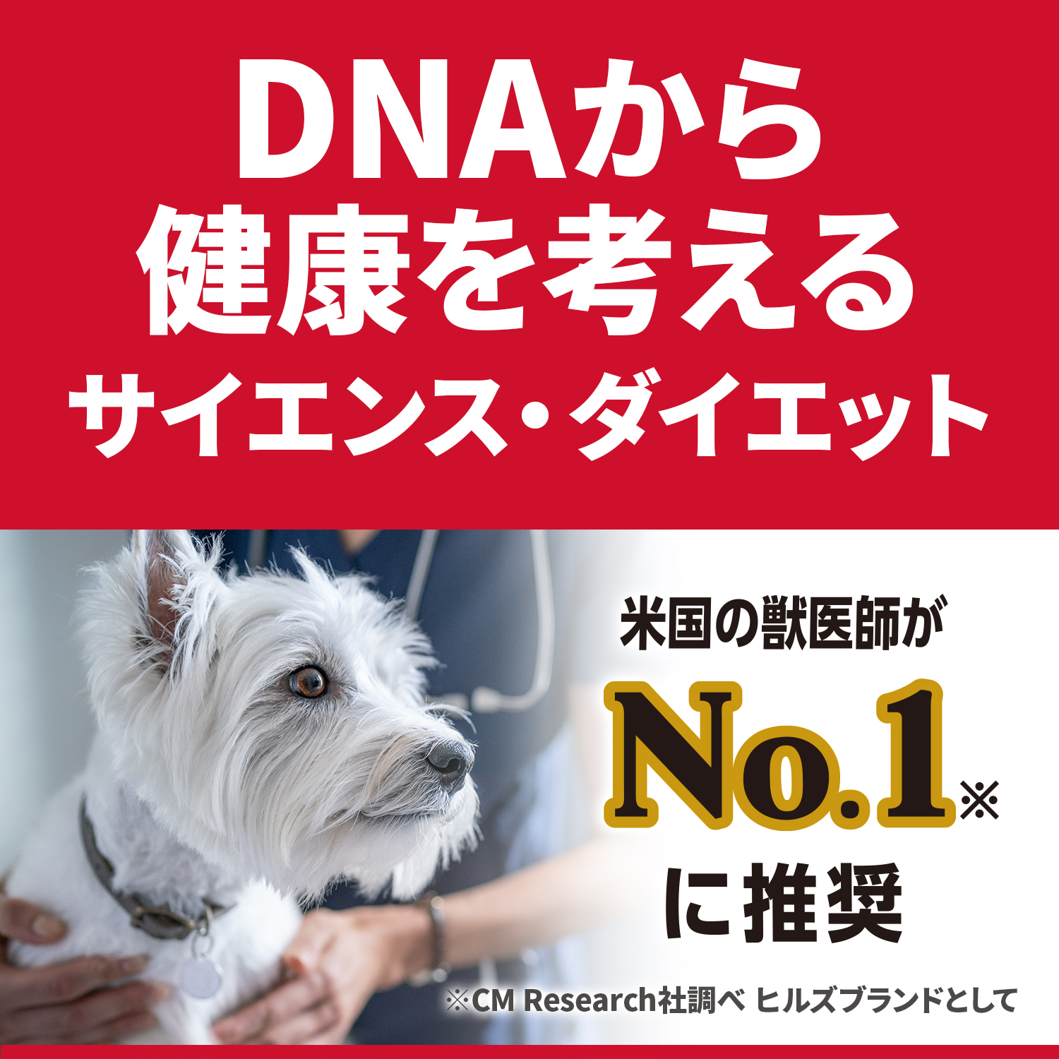 即納最大半額 楽天市場 ヒルズ サイエンス ダイエット 小型犬用 肥満傾向の成犬用 アダルト ライト １歳以上 チキン １ ５ｋｇ ６袋 沖縄別途送料 Charm 楽天市場店 爆売り Lexusoman Com