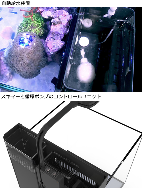 レッドシー ＭＡＸ ＮＡＮＯセット ブラック ５０Ｈｚ 東日本用