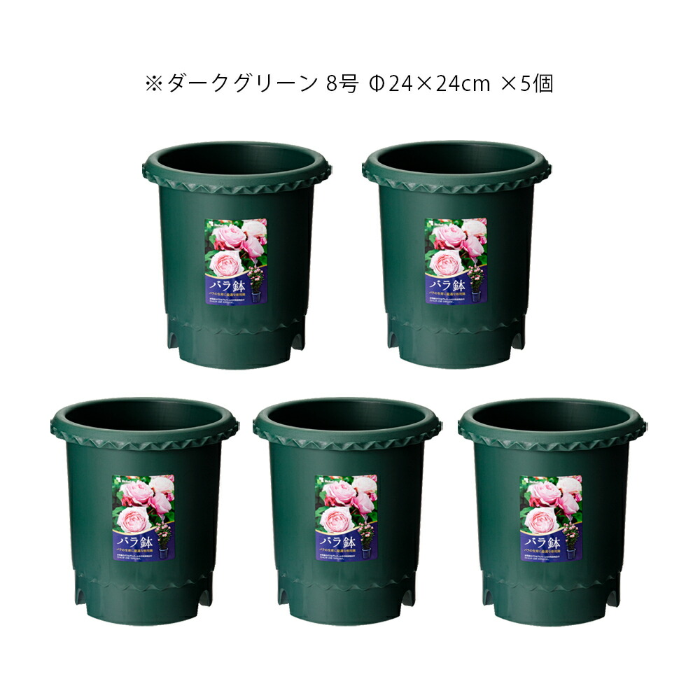 楽天市場 リッチェル バラ鉢 ダークグリーン ８号 F２４ ２４ｃｍ ５個入 お一人様１点限り 関東当日便 Charm 楽天市場店