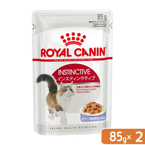 【まとめ売り】 CANIN インドアゼリー85g×45個 ロイヤルカナン 猫 FHN-WET 室内で生活する成猫用 インドア