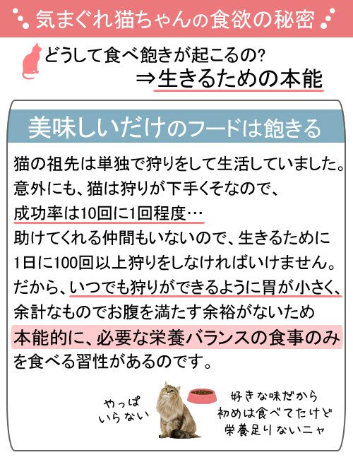 日本に ロイヤルカナン 猫 インスティンクティブ ローフ 成猫用 ８５ｇ １ボール１２袋 ９００３５７９００３８８６ お一人様５点限り 関東当日便  newschoolhistories.org