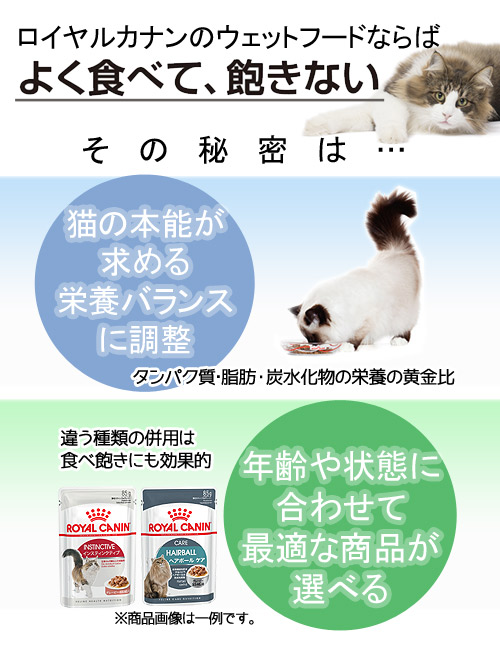 日本に ロイヤルカナン 猫 インスティンクティブ ローフ 成猫用 ８５ｇ １ボール１２袋 ９００３５７９００３８８６ お一人様５点限り 関東当日便  newschoolhistories.org