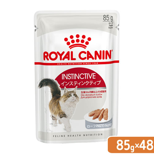 【おまけ付】ロイヤルカナン 猫 インドア ロングヘアー 2kg×2袋 計4kg 在庫 処分 セールペット用品 - 【おまけ付】ロイヤルカナン 猫