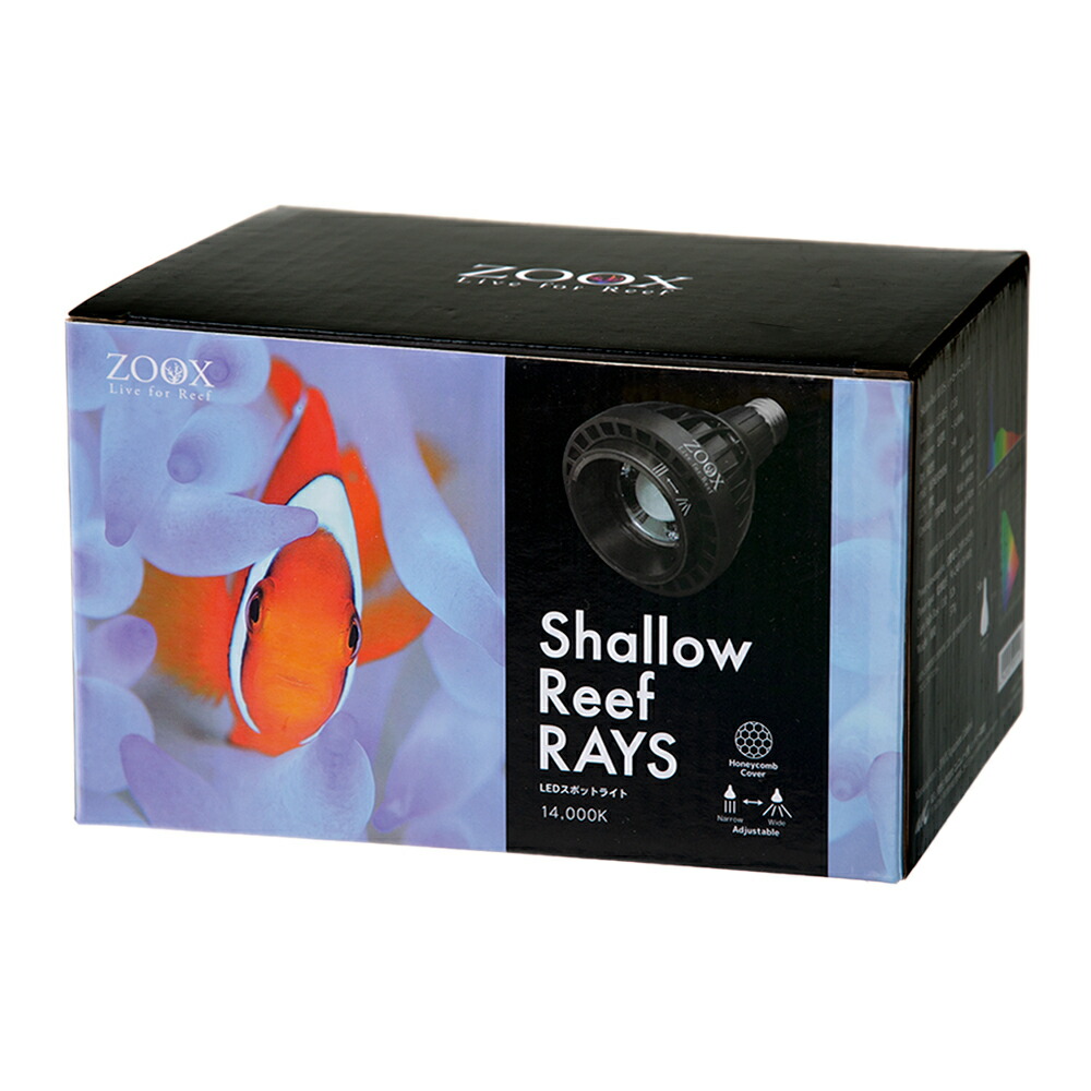 即納特典付き ｚｏｏｘ ｌｅｄ ｒａｙｓ ｓｈａｌｌｏｗ ｒｅｅｆ サンゴ 沖縄別途送料 関東当日便 Charm 店 保証書付 Vancouverfamilymagazine Com