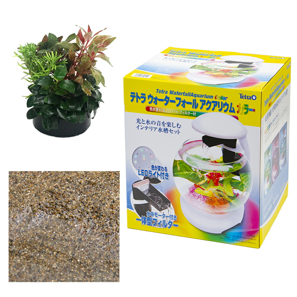 熱帯魚肉 水草 水低落カラー インテリア溜め桶揃え 片生い者 本州四国修飾 Hqb Be