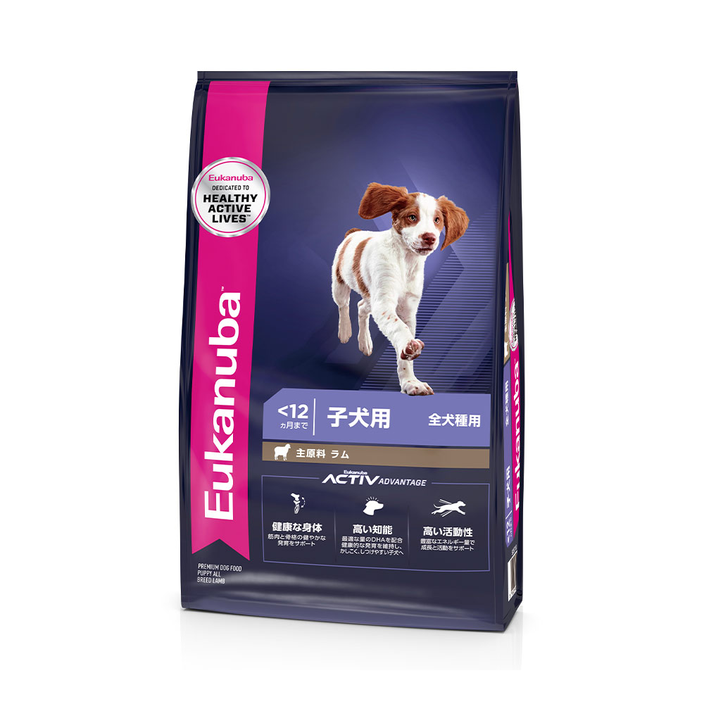 15㎏【最安値】Eukanuba 成犬用 小型犬用 ドッグフード 　小粒 15㎏【最安値】Eukanuba 成犬用 小型犬用 ドッグフード 小粒